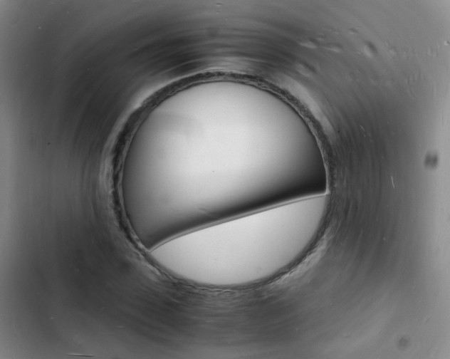 X0000103250923200808281053