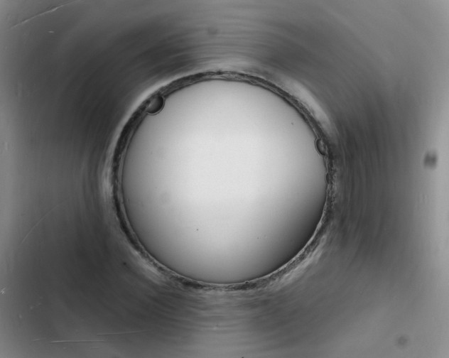 X0000103250924200808281053