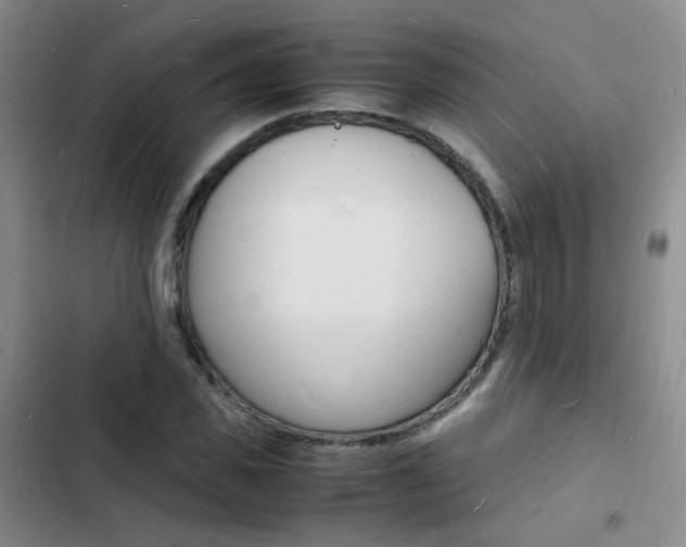 X0000103250925200808281053