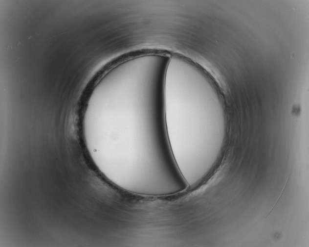 X0000103250926200808281053
