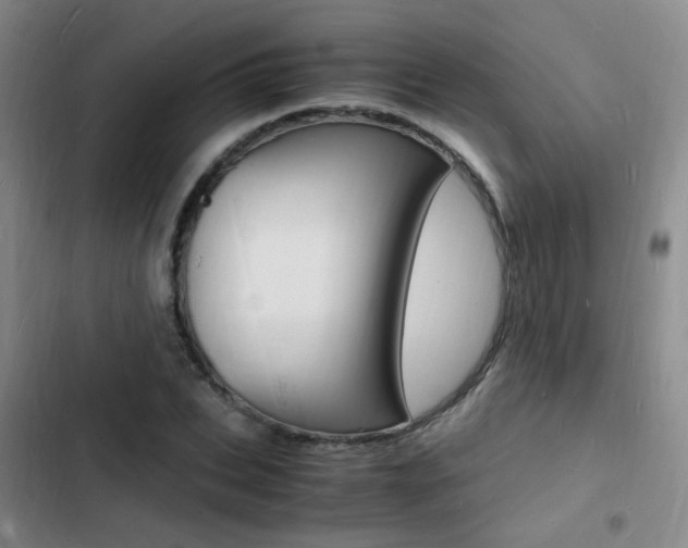 X0000103250927200808281053