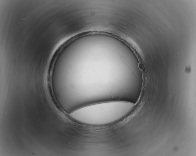 X0000103250928200808281053