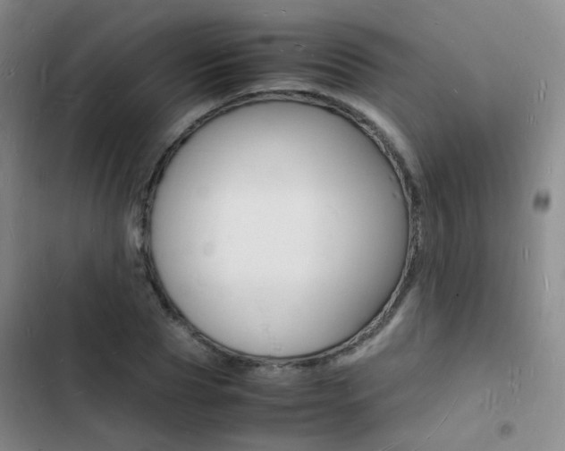 X0000103250929200808281053