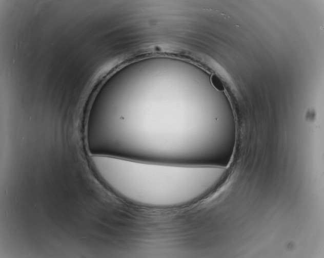 X0000103250930200808281053