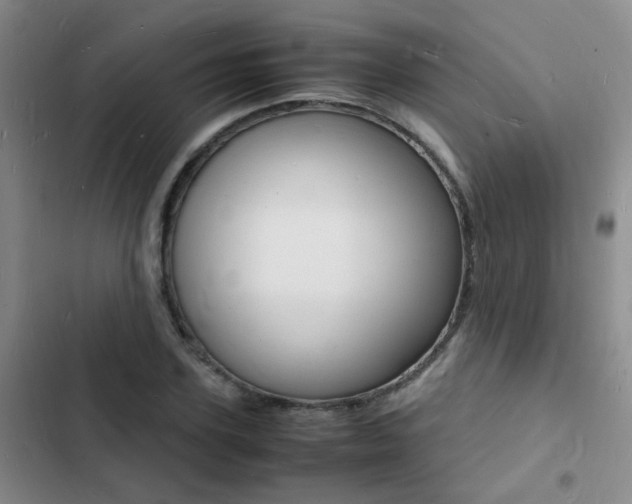 X0000103250931200808281053