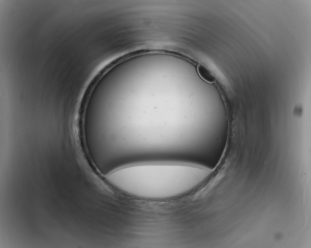 X0000103250932200808281053