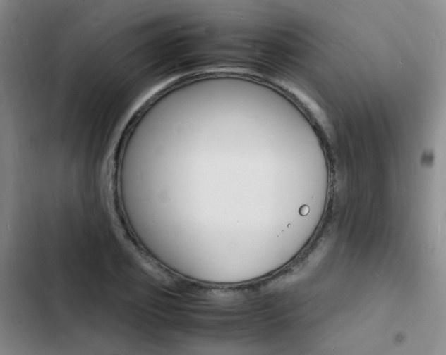 X0000103250933200808281053