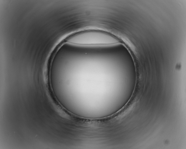 X0000103250934200808281053