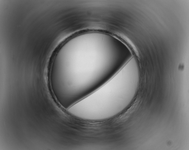 X0000103250935200808281053