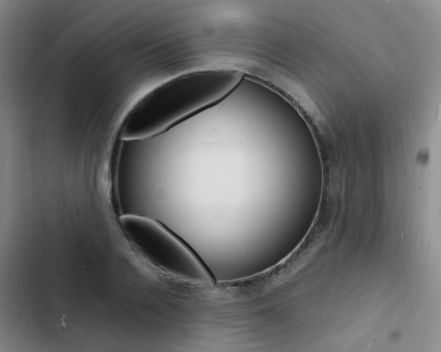 X0000103250936200808281053