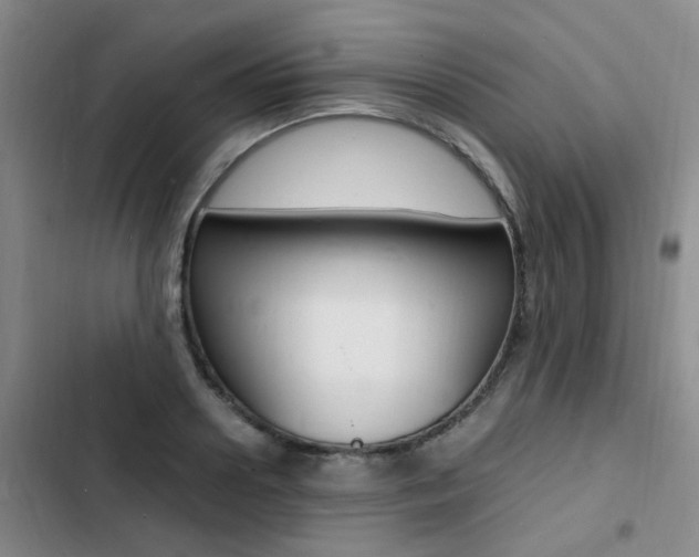 X0000103250938200808281053