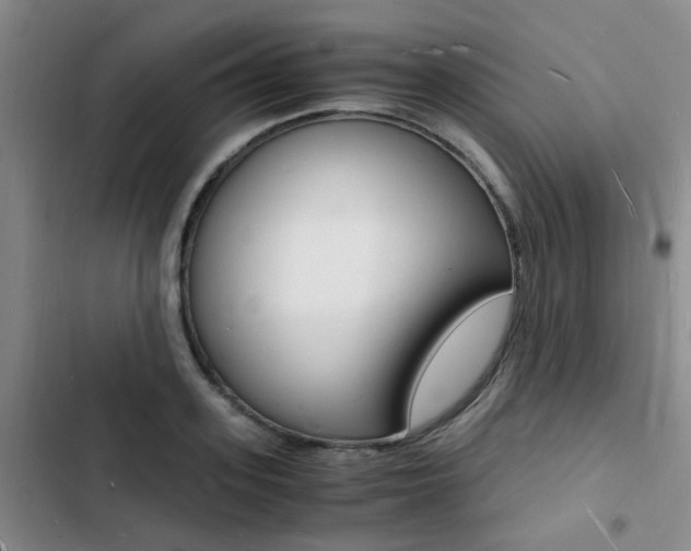X0000103250939200808281053