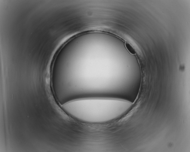 X0000103250940200808281053