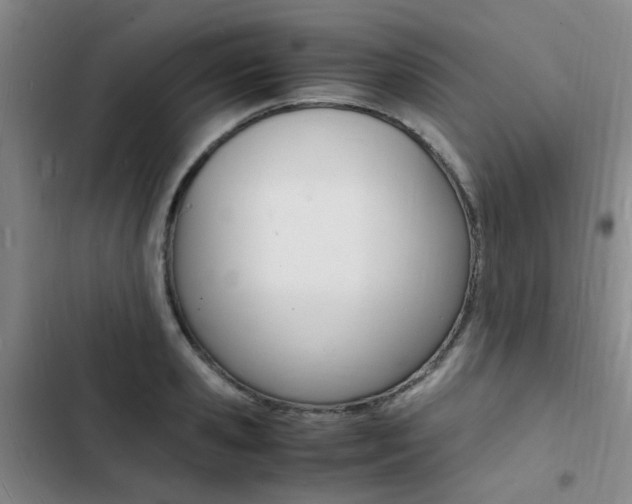 X0000103250941200808281053