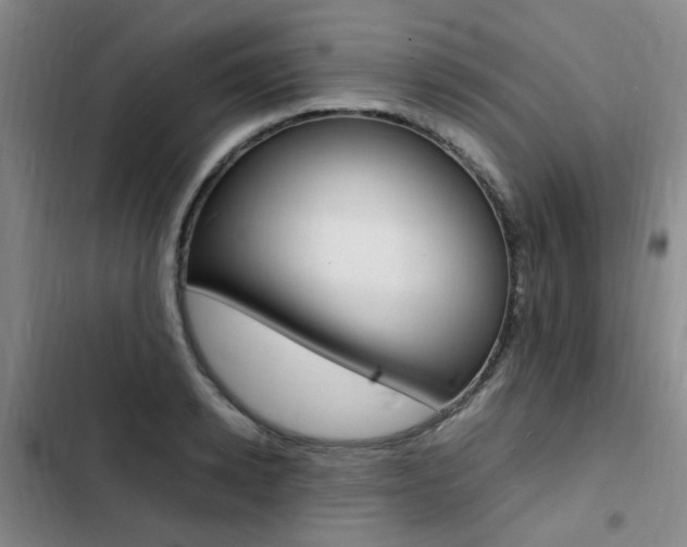 X0000103250942200808281053