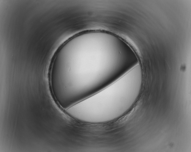 X0000103250943200808281053