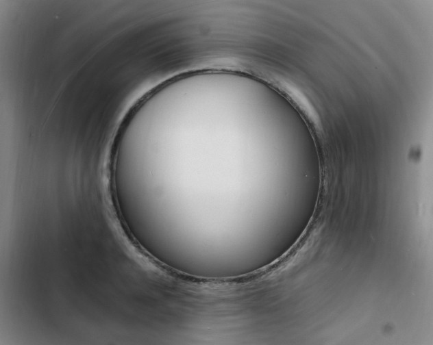 X0000103250944200808281053