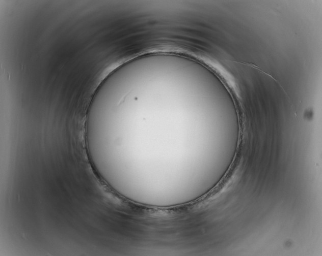 X0000103250945200808281053