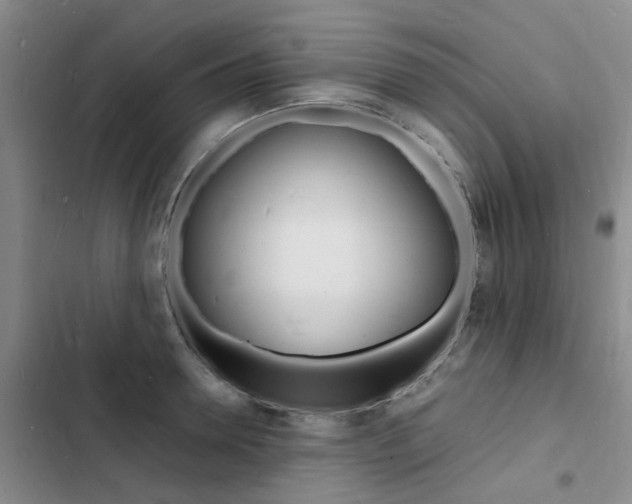X0000103250946200808281053