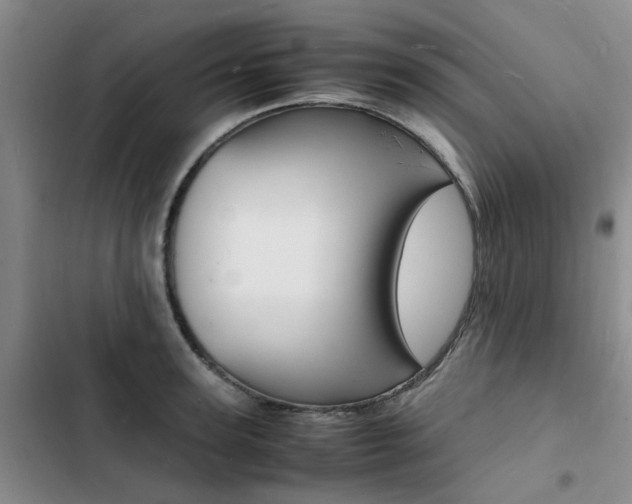 X0000103250947200808281053