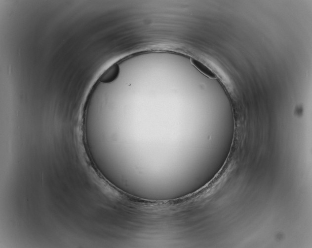 X0000103250948200808281053