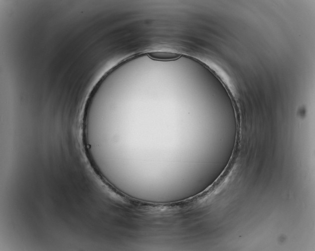 X0000103250949200808281053