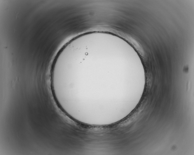 X0000103250950200808281053