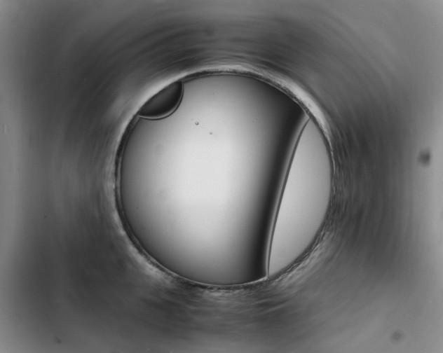 X0000103250951200808281053
