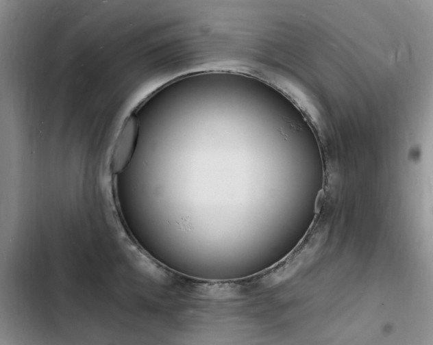 X0000103250952200808281053