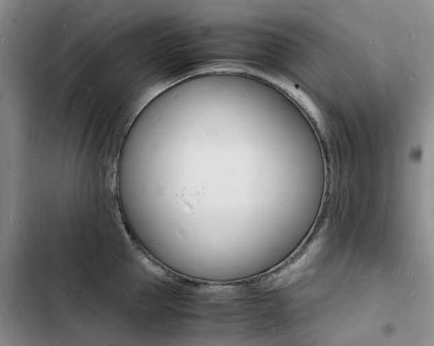 X0000103250953200808281053