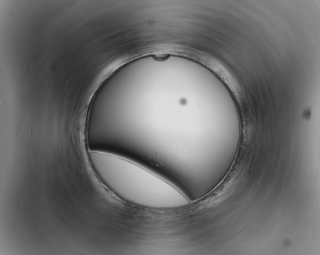 X0000103250954200808281053