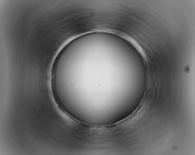 X0000103250955200808281053