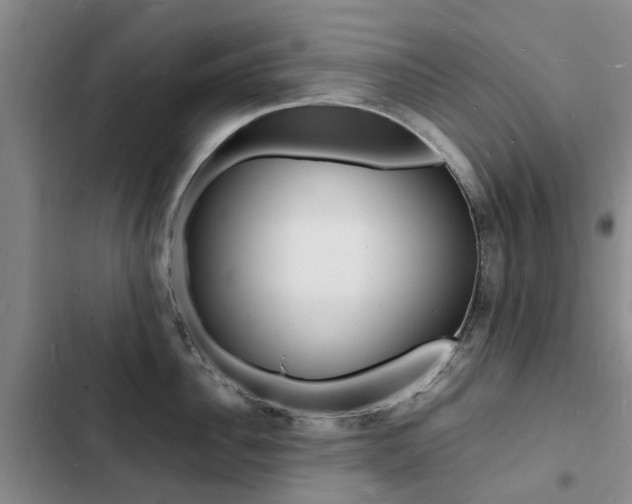 X0000103250956200808281053