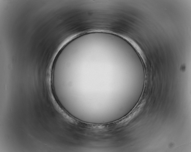 X0000103250957200808281053