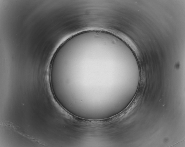 X0000103250958200808281053