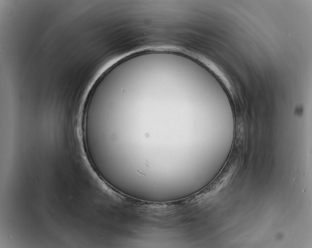X0000103250959200808281053