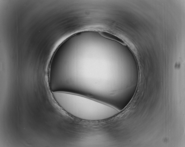 X0000103250960200808281053