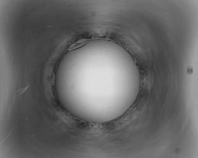 X0000103250961200808281053