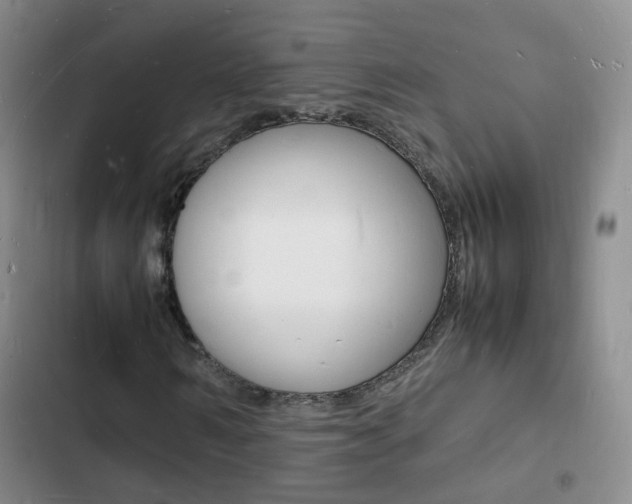 X0000103250962200808281053