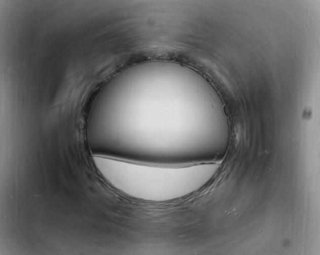 X0000103250964200808281053
