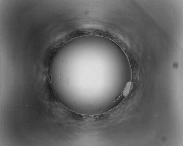 X0000103250965200808281053