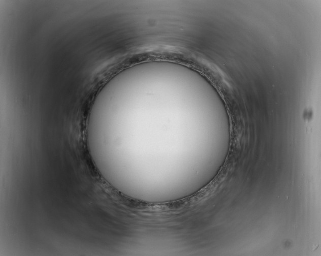 X0000103250966200808281053