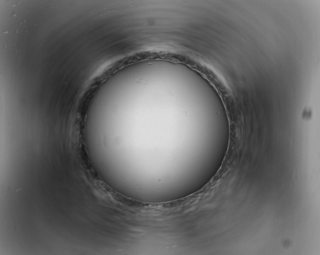 X0000103250968200808281052