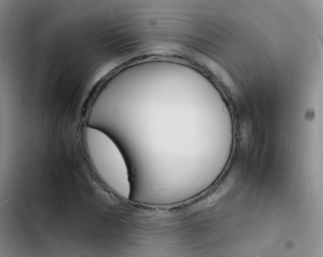 X0000103250970200808281052