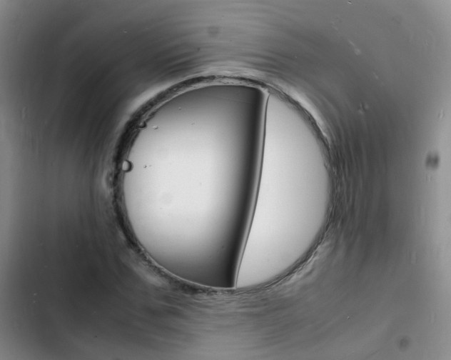 X0000103250971200808281052