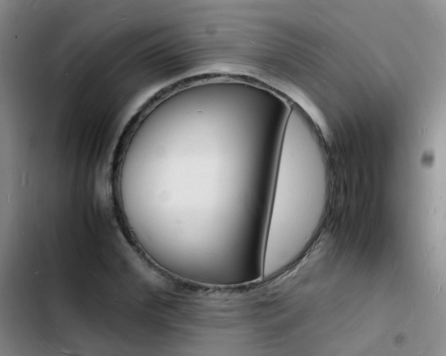 X0000103250972200808281052
