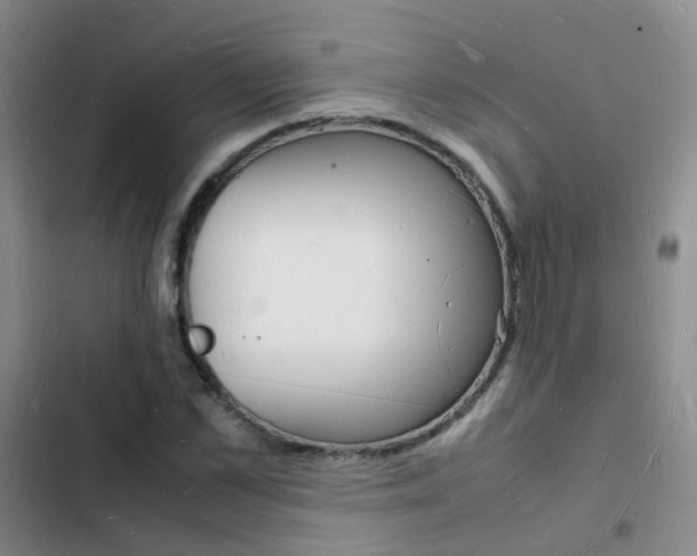 X0000103250973200808281052