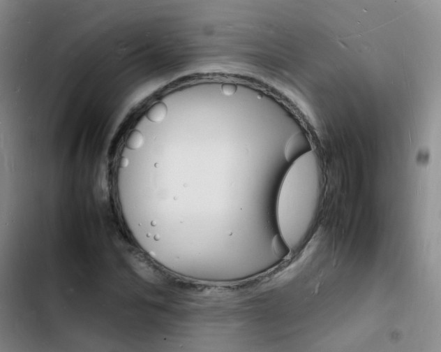 X0000103250974200808281052