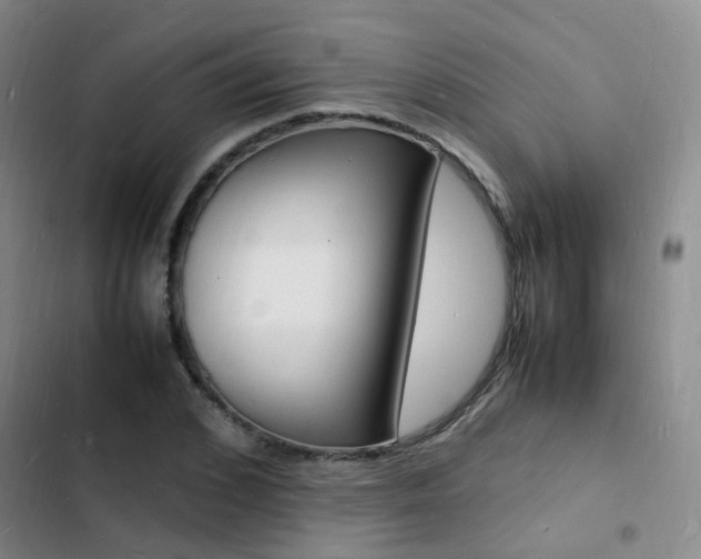 X0000103250976200808281052