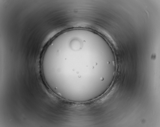 X0000103250978200808281052